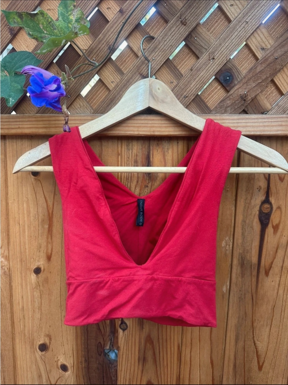 Indah Red Deep V Crop Tank